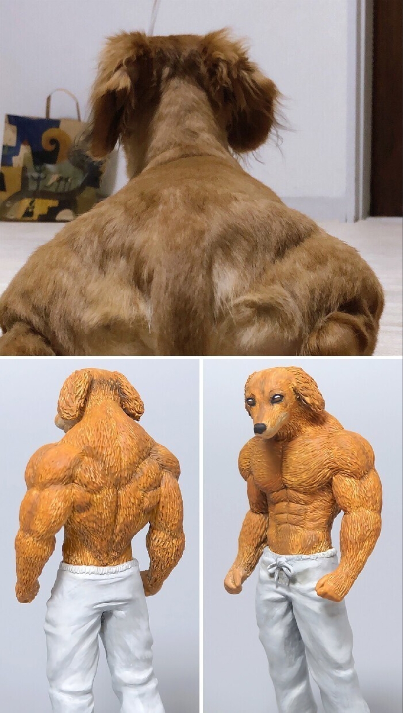 Este es un debe ver: 50 divertidas figuras de animales basado en Internet memes