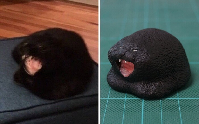 Este es un debe ver: 50 divertidas figuras de animales basado en Internet memes