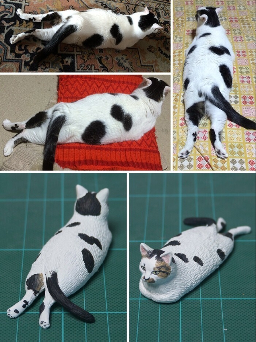 Este es un debe ver: 50 divertidas figuras de animales basado en Internet memes