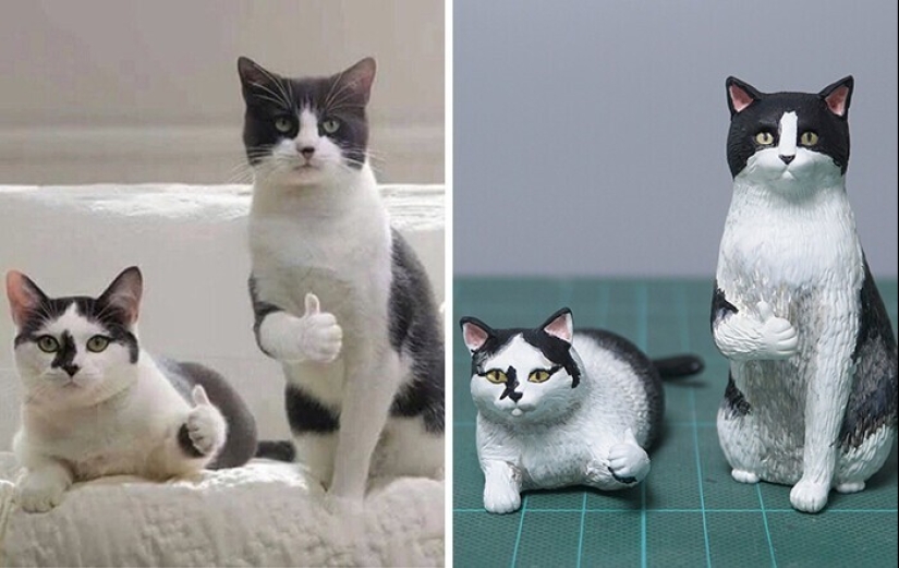 Este es un debe ver: 50 divertidas figuras de animales basado en Internet memes
