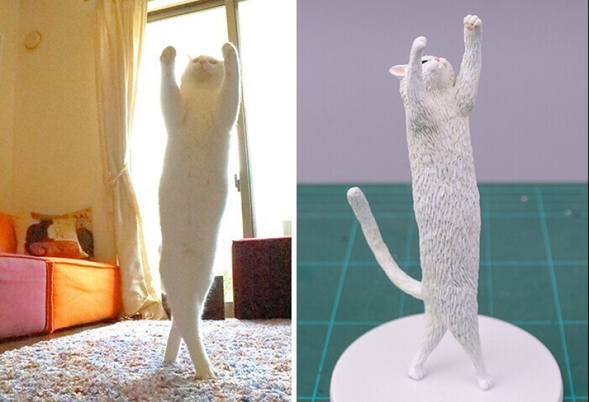 Este es un debe ver: 50 divertidas figuras de animales basado en Internet memes
