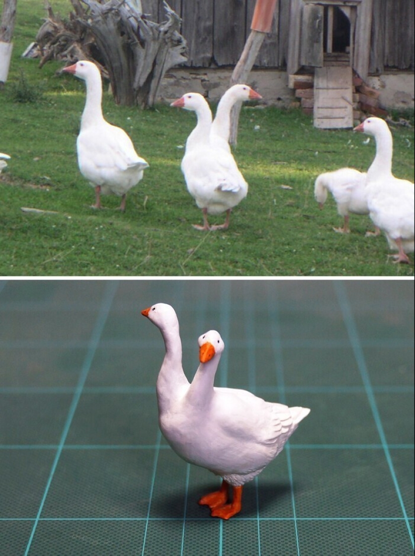 Este es un debe ver: 50 divertidas figuras de animales basado en Internet memes