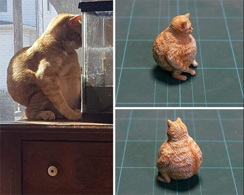 Este es un debe ver: 50 divertidas figuras de animales basado en Internet memes