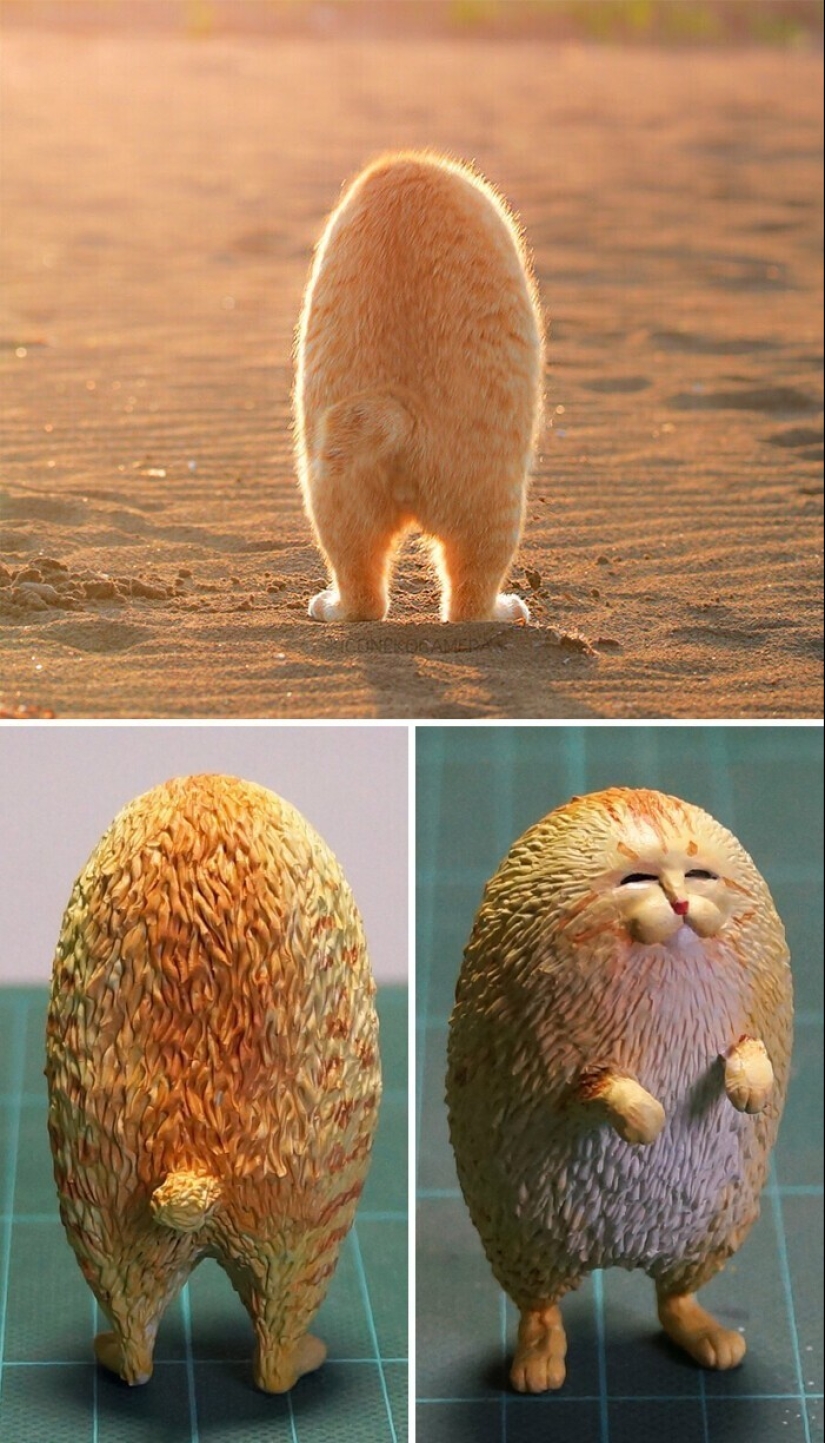 Este es un debe ver: 50 divertidas figuras de animales basado en Internet memes
