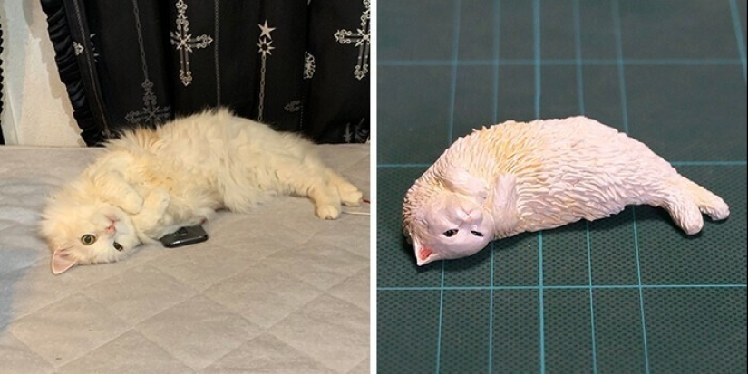 Este es un debe ver: 50 divertidas figuras de animales basado en Internet memes