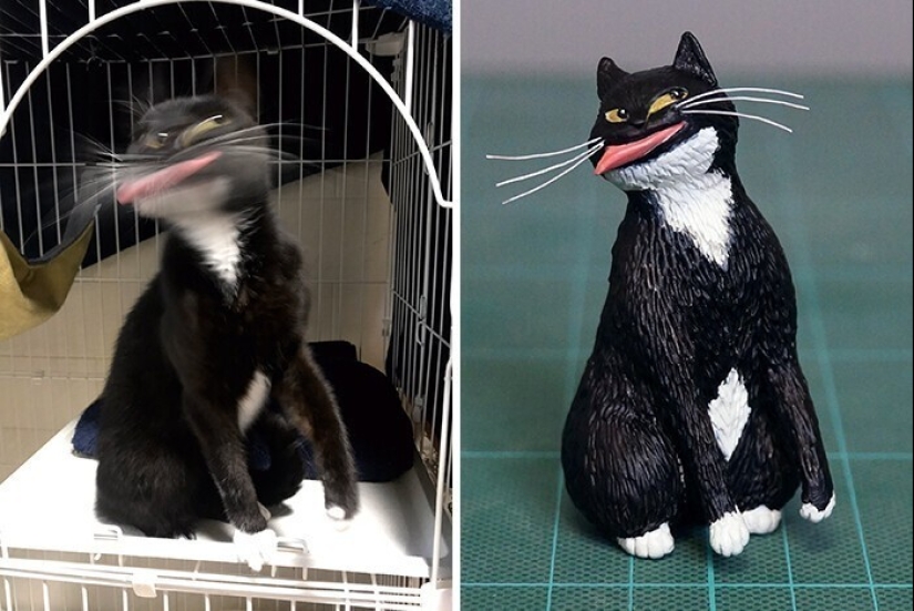 Este es un debe ver: 50 divertidas figuras de animales basado en Internet memes