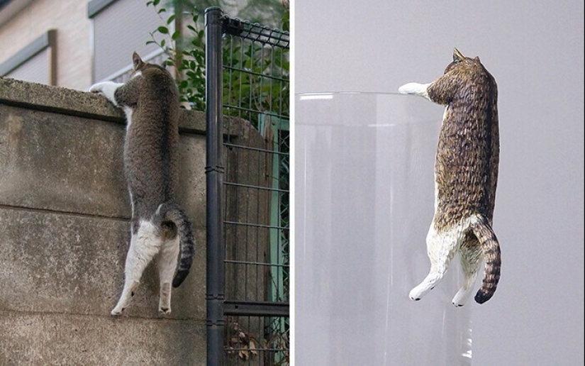 Este es un debe ver: 50 divertidas figuras de animales basado en Internet memes