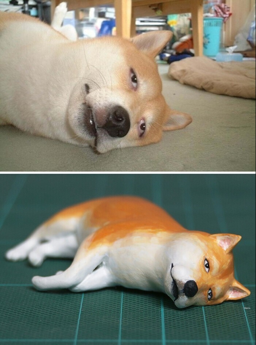 Este es un debe ver: 50 divertidas figuras de animales basado en Internet memes