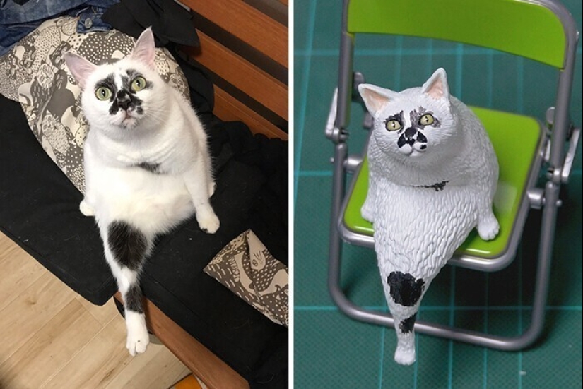 Este es un debe ver: 50 divertidas figuras de animales basado en Internet memes