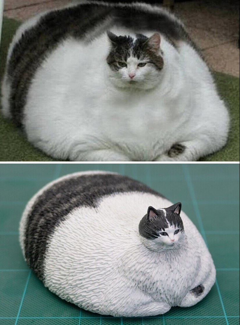 Este es un debe ver: 50 divertidas figuras de animales basado en Internet memes