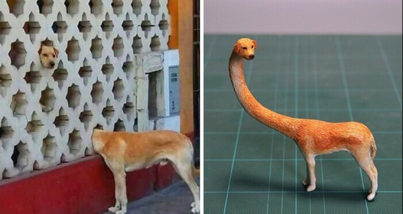 Este es un debe ver: 50 divertidas figuras de animales basado en Internet memes