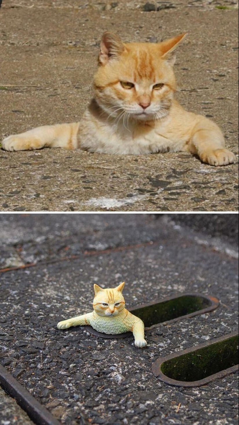 Este es un debe ver: 50 divertidas figuras de animales basado en Internet memes