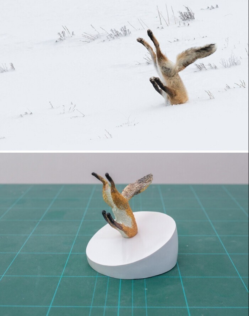 Este es un debe ver: 50 divertidas figuras de animales basado en Internet memes