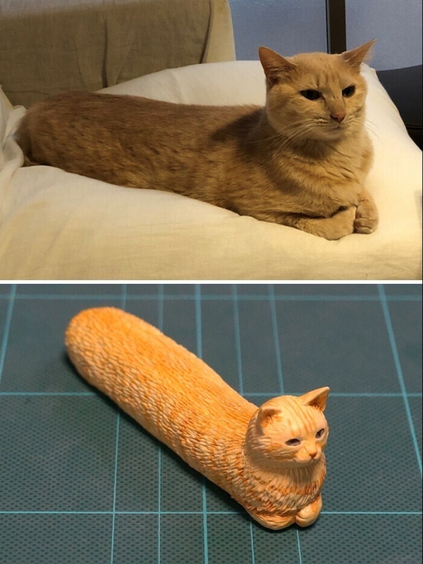 Este es un debe ver: 50 divertidas figuras de animales basado en Internet memes