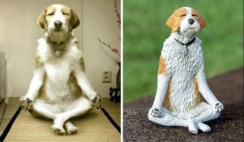 Este es un debe ver: 50 divertidas figuras de animales basado en Internet memes