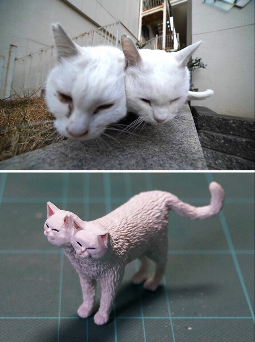 Este es un debe ver: 50 divertidas figuras de animales basado en Internet memes