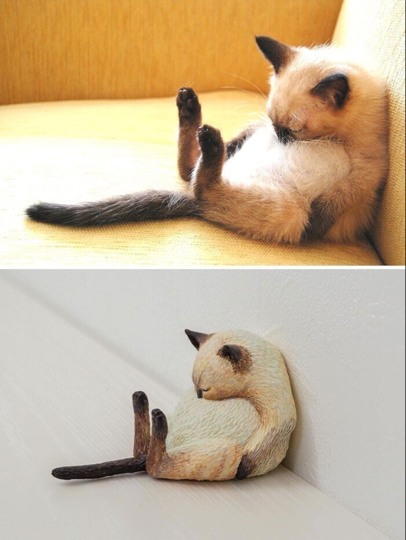 Este es un debe ver: 50 divertidas figuras de animales basado en Internet memes