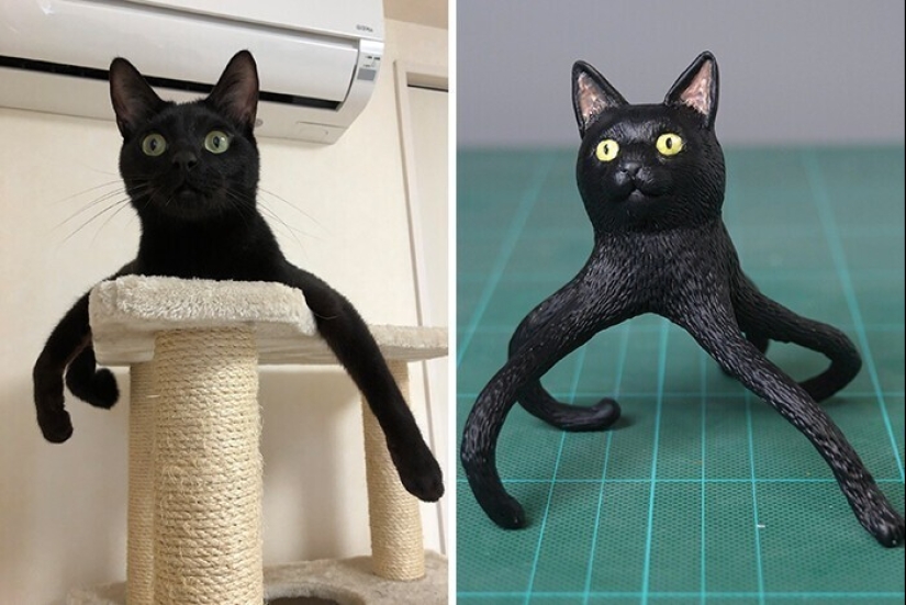 Este es un debe ver: 50 divertidas figuras de animales basado en Internet memes