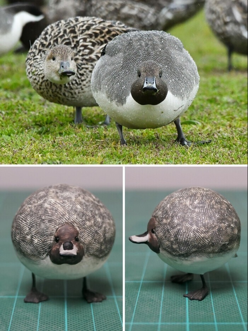 Este es un debe ver: 50 divertidas figuras de animales basado en Internet memes