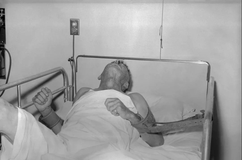 "¿Estás loco?": 10 parásitos y patógenos que controlan la mente humana "¿Estás loco?": 10 parásitos y patógenos que controlan la mente humana