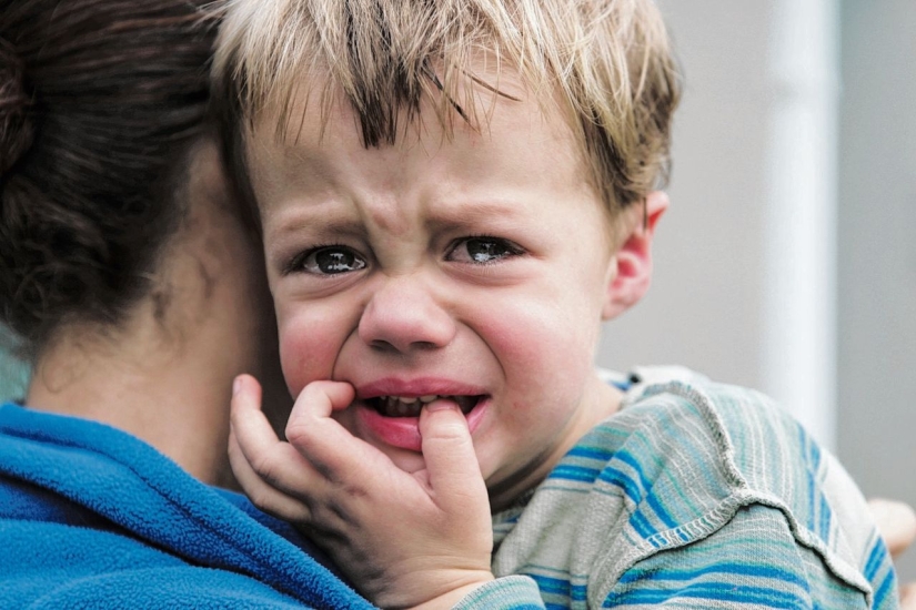 "¿Estás loco?": 10 parásitos y patógenos que controlan la mente humana "¿Estás loco?": 10 parásitos y patógenos que controlan la mente humana