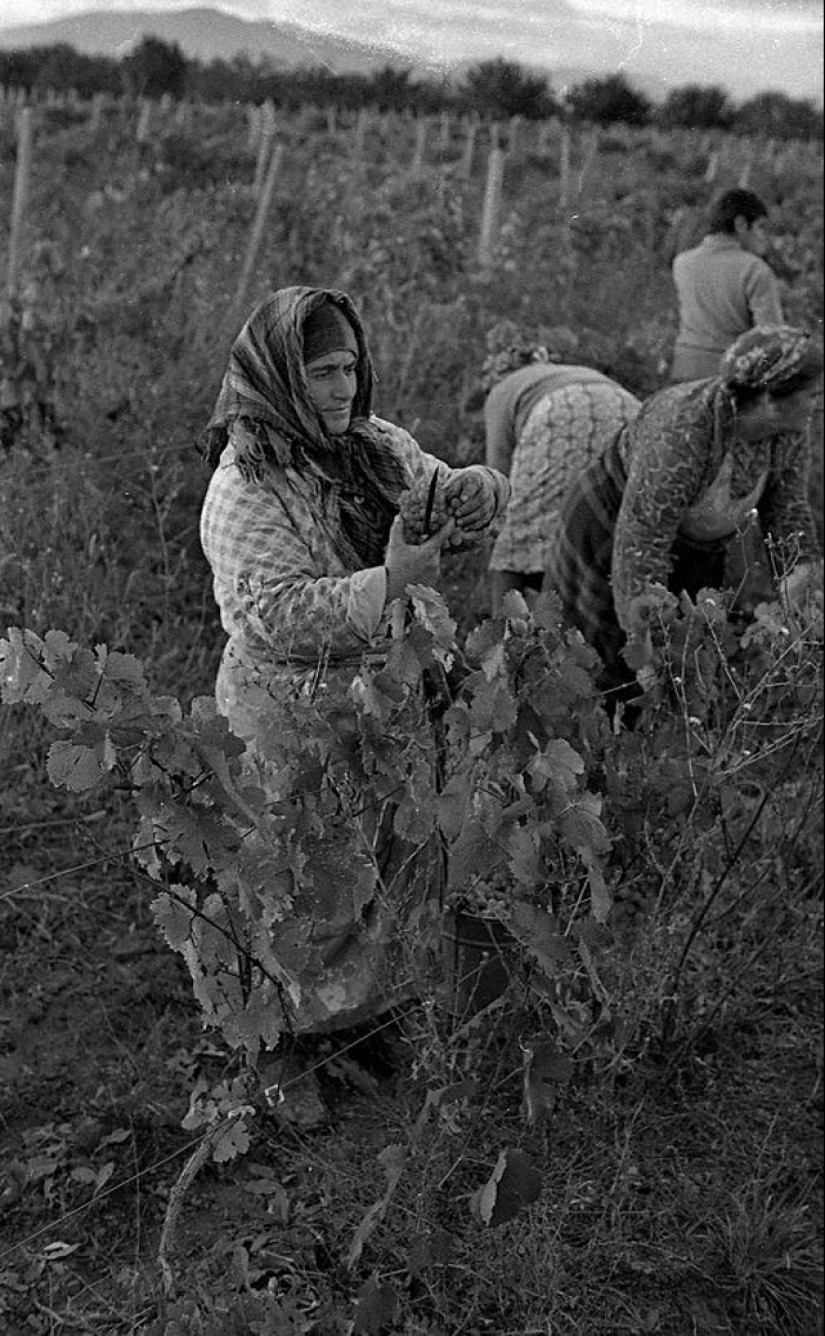 Everyday life in Soviet Georgia in 1976, captured by a Swedish photographer