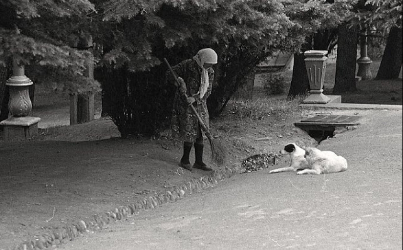 Everyday life in Soviet Georgia in 1976, captured by a Swedish photographer