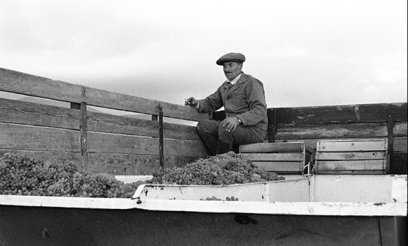 Everyday life in Soviet Georgia in 1976, captured by a Swedish photographer