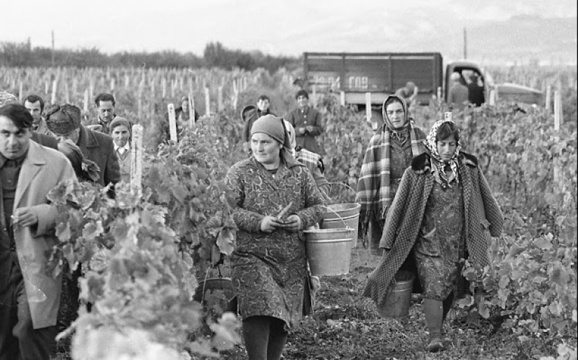 Everyday life in Soviet Georgia in 1976, captured by a Swedish photographer