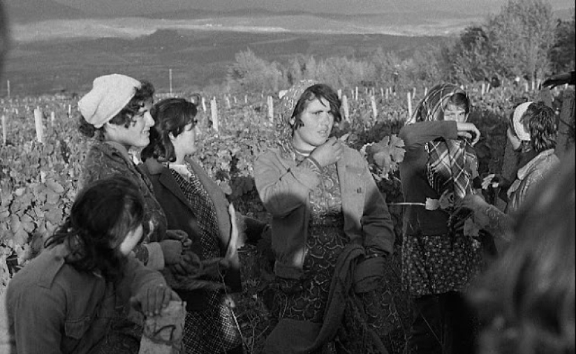 Everyday life in Soviet Georgia in 1976, captured by a Swedish photographer