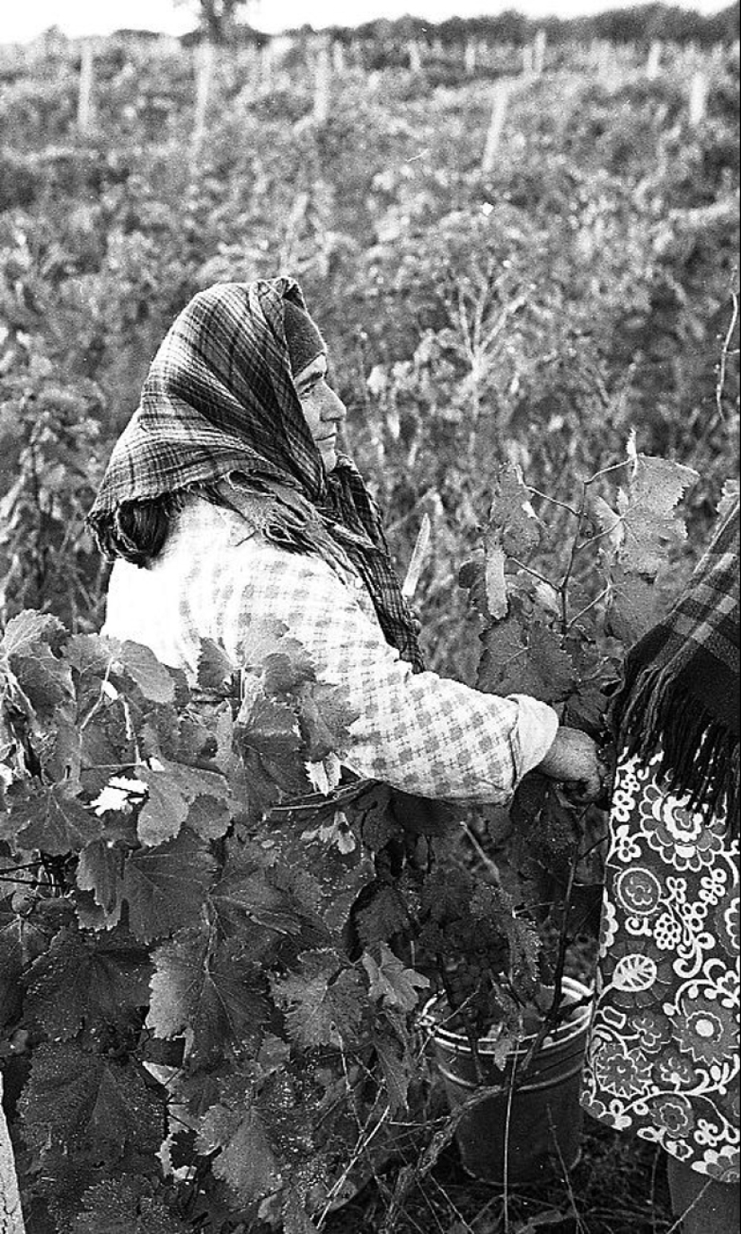 Everyday life in Soviet Georgia in 1976, captured by a Swedish photographer