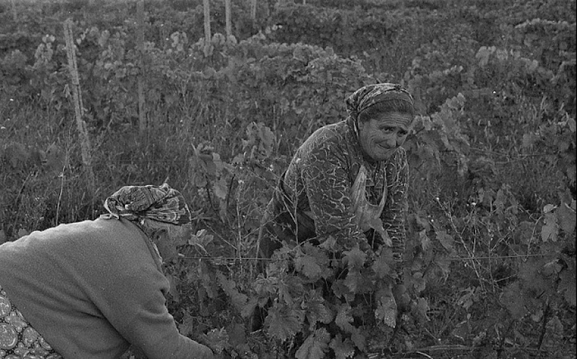 Everyday life in Soviet Georgia in 1976, captured by a Swedish photographer
