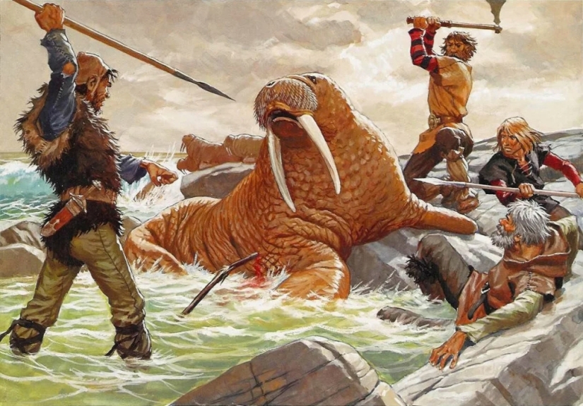 Everyday life of the Vikings: not only wars and robbery