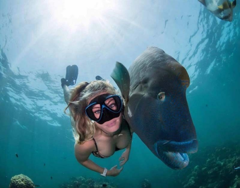 Everyone calls her the pictures with photoshop, but they are real: amazing footage of a diver and the underwater world Everyone calls her the pictures with photoshop, but they are real: amazing footage of a diver and the underwater world