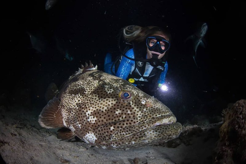Everyone calls her the pictures with photoshop, but they are real: amazing footage of a diver and the underwater world Everyone calls her the pictures with photoshop, but they are real: amazing footage of a diver and the underwater world