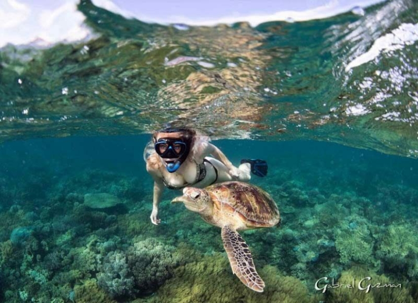 Everyone calls her the pictures with photoshop, but they are real: amazing footage of a diver and the underwater world Everyone calls her the pictures with photoshop, but they are real: amazing footage of a diver and the underwater world