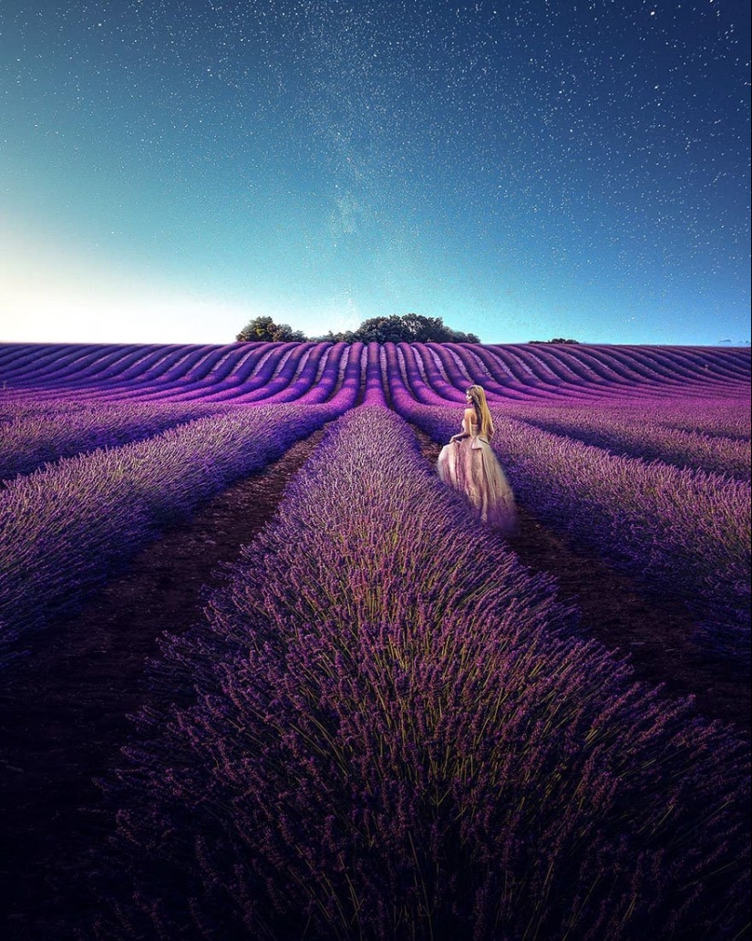 Evoking calm and sleep: photos of lavender fields in the South of France Evoking calm and sleep: photos of lavender fields in the South of France