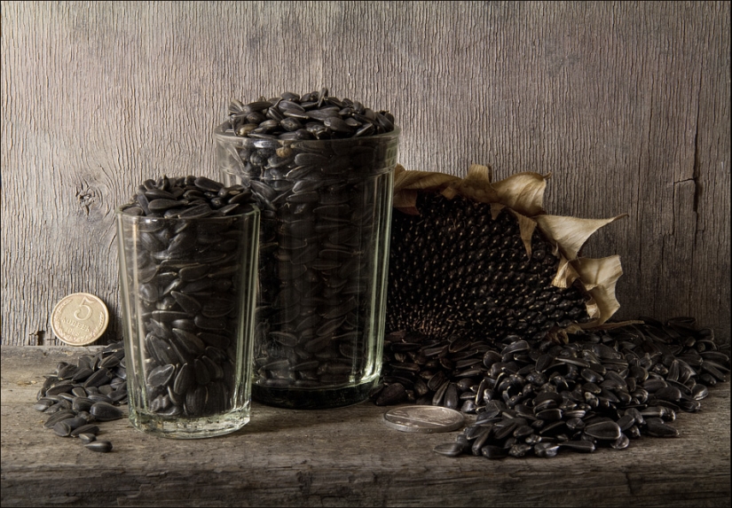 Evolution of seeds in Russia from Peter I to our days
