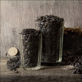 Evolution of seeds in Russia from Peter I to our days Evolution of seeds in Russia from Peter I to our days