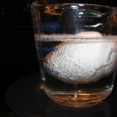 Experiment with egg and vinegar Experiment with egg and vinegar