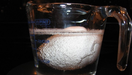 Experiment with egg and vinegar