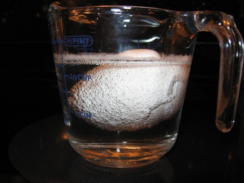 Experimento con huevo y vinagre