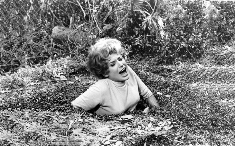 Experts explain: The 5 most fantastic and creepy ways to die