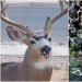 Extrañas y divertidas fotos desde el mundo de la naturaleza salvaje, lo que causa un montón de problemas Extrañas y divertidas fotos desde el mundo de la naturaleza salvaje, lo que causa un montón de problemas