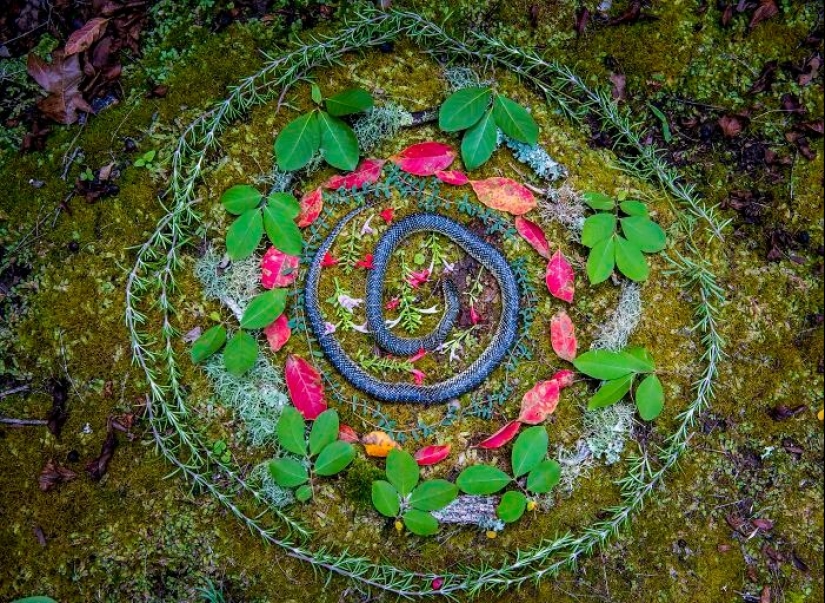 Extraordinarily beautiful and sad photos of floral memorials for dead animals