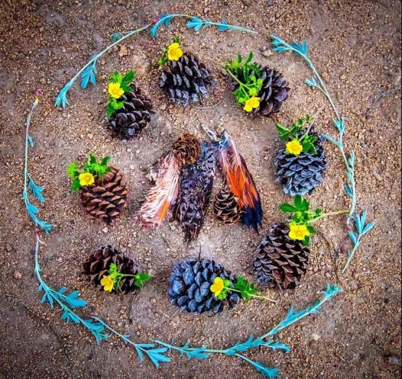 Extraordinarily beautiful and sad photos of floral memorials for dead animals