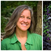 Extraordinarily beautiful and sad photos of floral memorials for dead animals