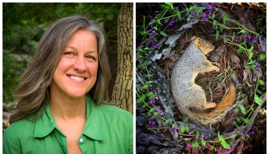 Extraordinarily beautiful and sad photos of floral memorials for dead animals