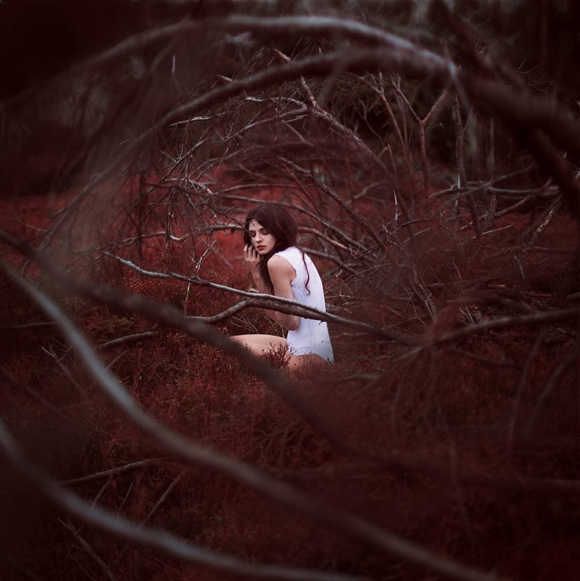 Fabulous and mystical images in the pictures Sina Domke Fabulous and mystical images in the pictures Sina Domke