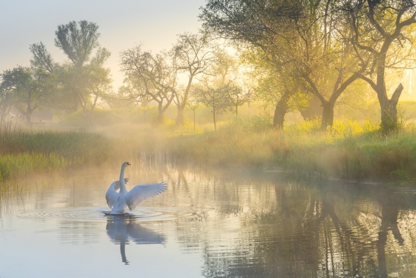 Fabulous photos of beautiful Holland that take your breath away Fabulous photos of beautiful Holland that take your breath away